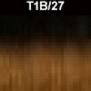 T1B27